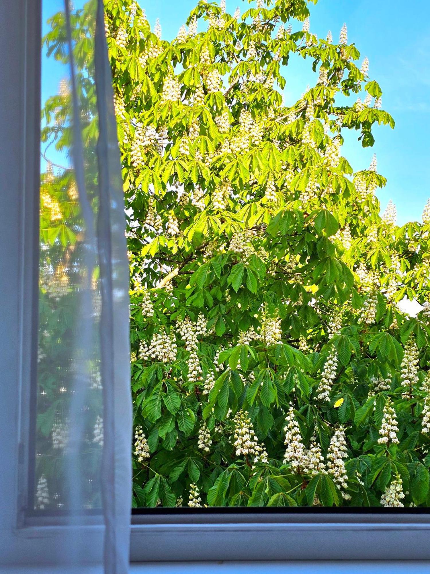 Apartamentai 76 Druskininkai Kültér fotó